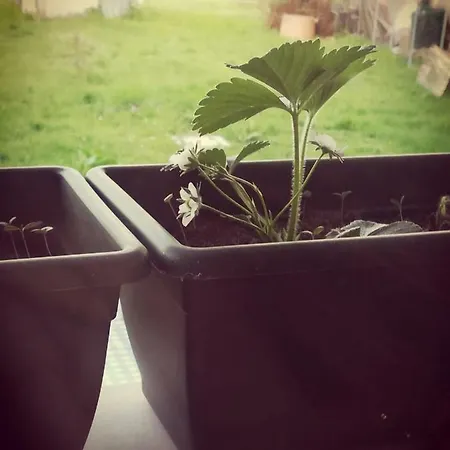 Profumo Di Casa Apartamento *