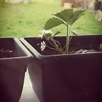 Profumo Di Casa Appartement *