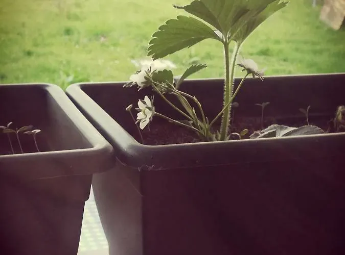 Profumo Di Casa Apartamento *